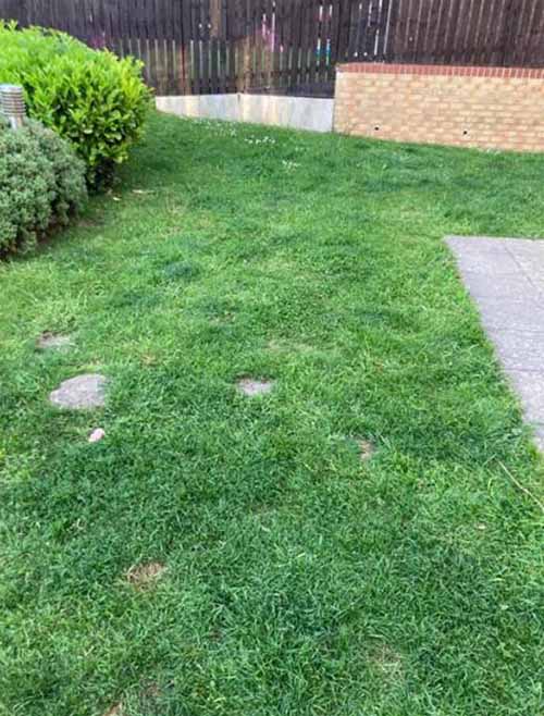 Patios & Drives project completed by Coastal Property Solutions in East Cleveland